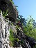 IMG_2459.JPG